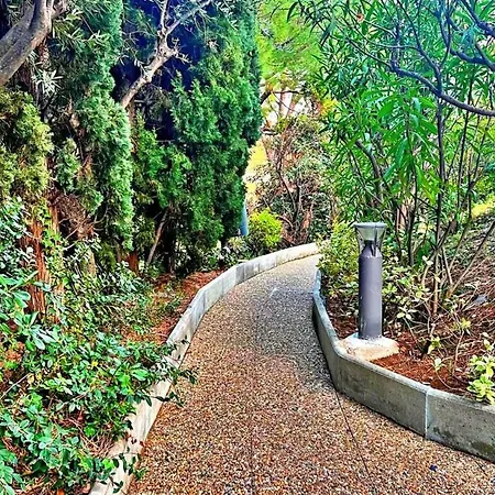 Le Ciel דירה ניס